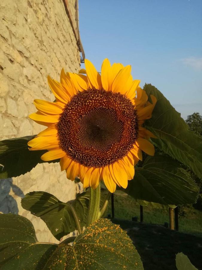 Casale Monte Valestra Bed & Breakfast Bebbio Екстериор снимка