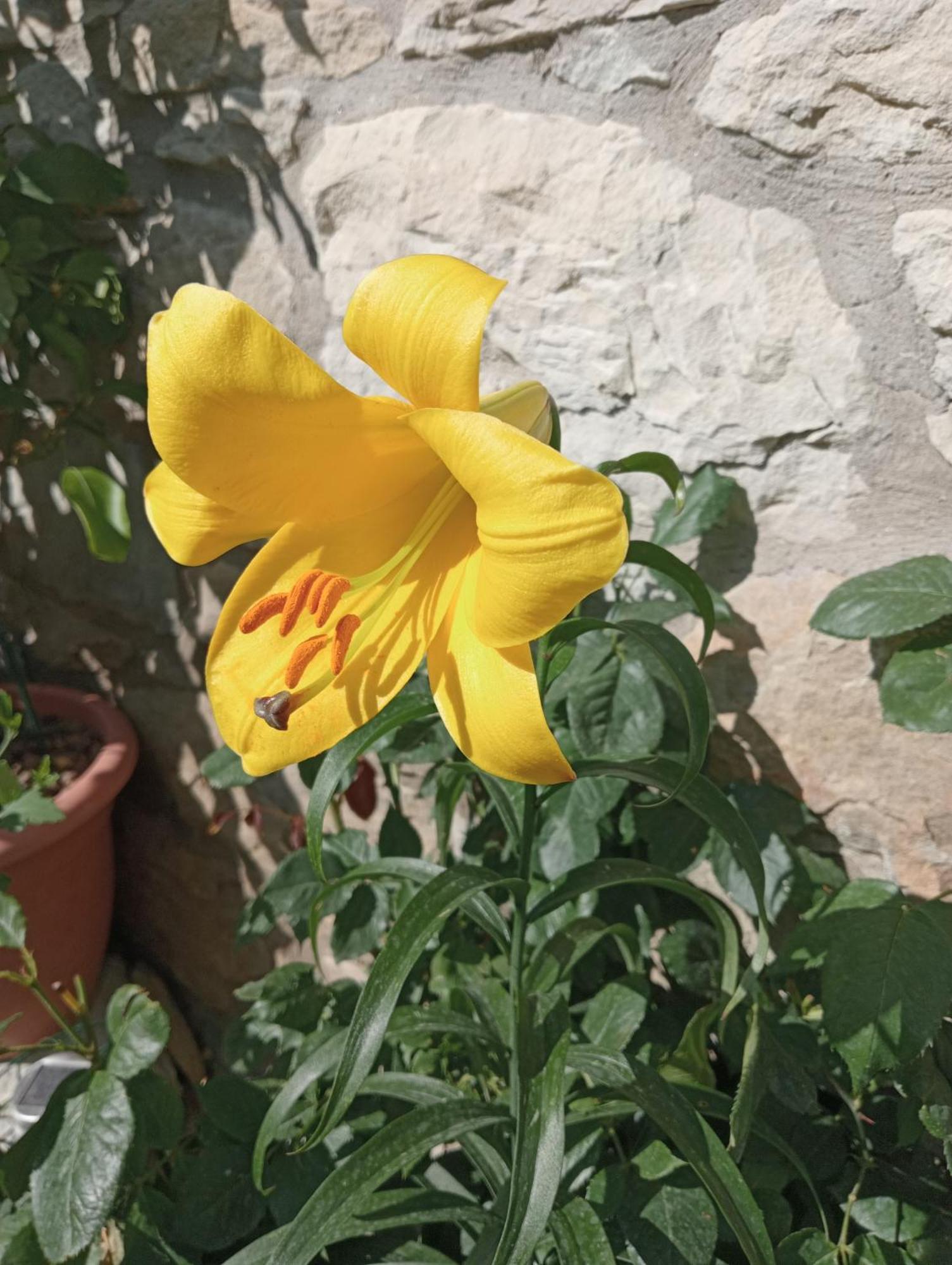 Casale Monte Valestra Bed & Breakfast Bebbio Стая снимка