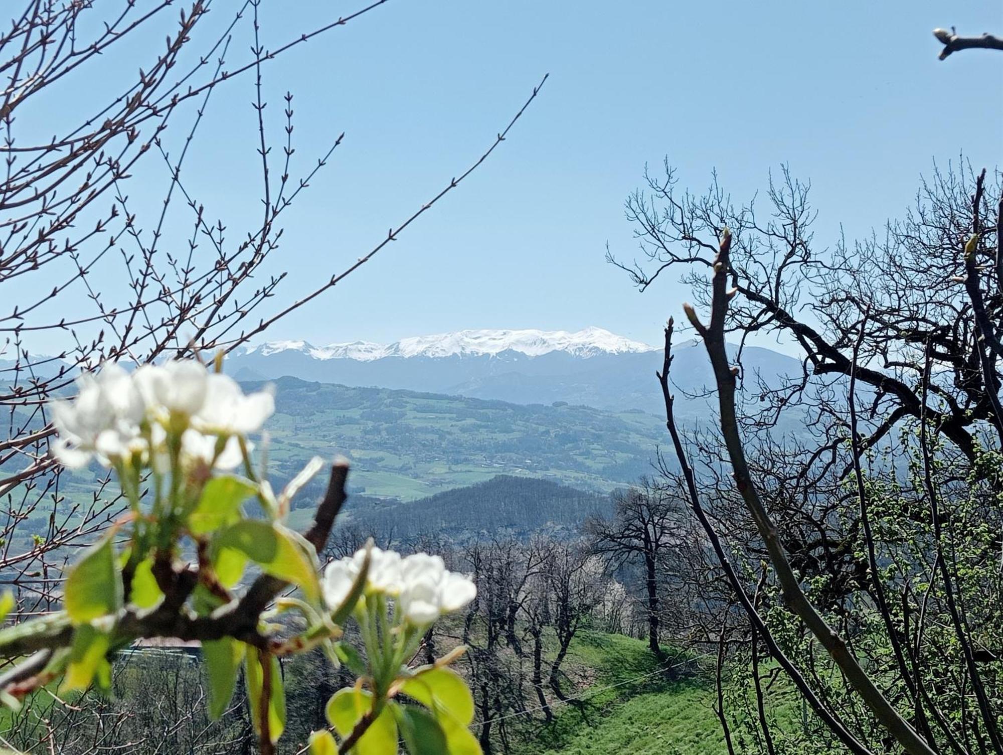 Casale Monte Valestra Bed & Breakfast Bebbio Екстериор снимка